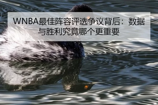 WNBA最佳阵容评选争议背后：数据与胜利究竟哪个更重要